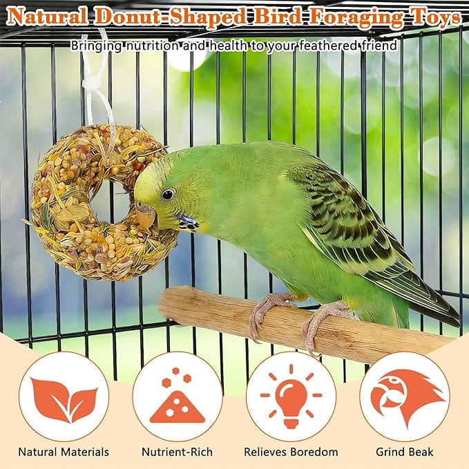 Fhiny Parakeet Treats, 4 PCS Donut Shaped Natural Grain Cockatiel Food with Fruits Vegetables Flowers and Herbs for Parrot Conure Lovebird Training Rewards and Beak Grinding