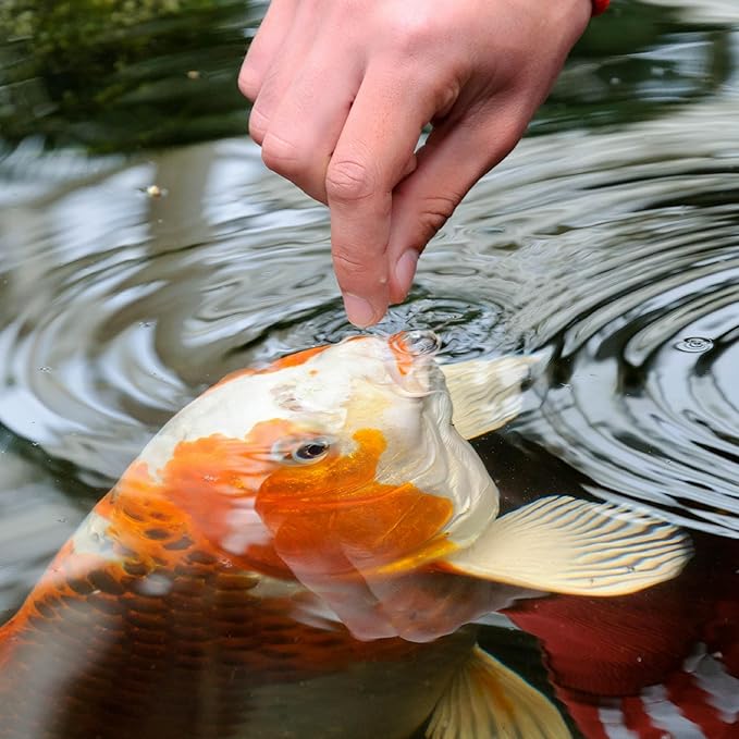 TetraPond Koi Vibrance Soft Sticks, Floating Pond Fish Food for Koi Fish and Ornamental Goldfish, 2.42 Pounds