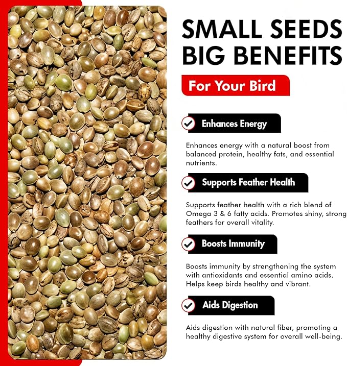 Morning Bird Hemp Seeds 4.5 lbs (3-Pack, 1.5 lbs Each) – High in Natural Protein, Healthy Fats, Omega 3 and 6 Fatty Acids, Delicious Natural Flavor, Supports Feather Growth & Overall Health