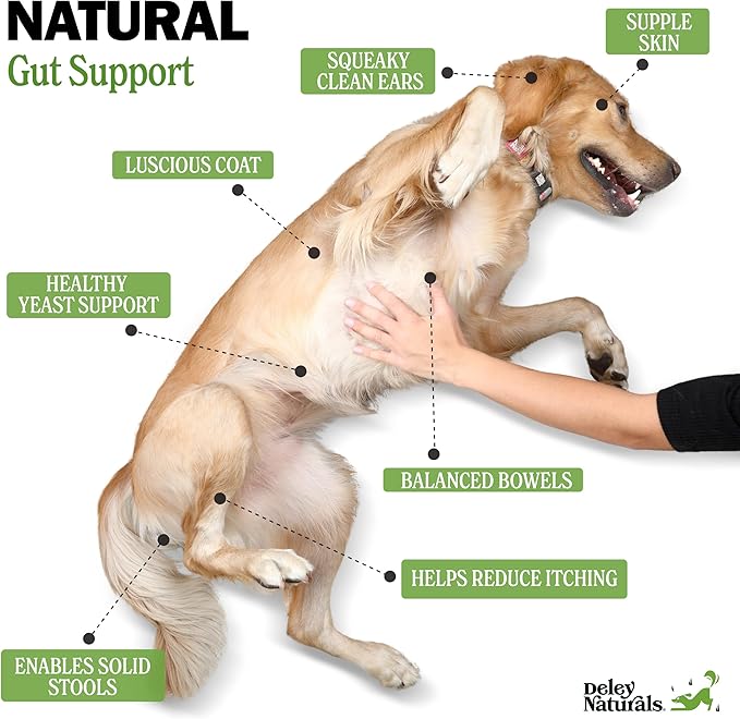 Deley Naturals Dog Probiotic Chews - Dogs Probiotic for Digestive Health with 4 Billion CFUs & Digestive Enzymes - Anti Diarrhea for Dogs - Dog Gut Health Probiotics for Allergies - Made in The USA