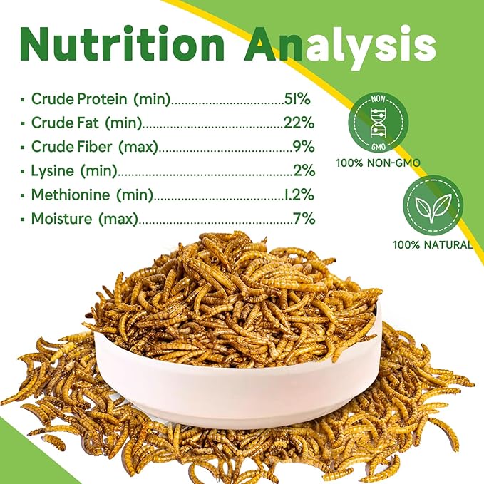500g Dried Mealworms Treat for Chicken, 100% Natural Non-GMO High Protein Organic Chicken Feed for Birds, Ducks, Layer Hens