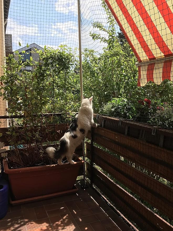 Cat Netting Balcony 10 * 20ft Pet Mesh Fence for Balcony Black Nylon Balcony Netting for Pets Anti-Fall Cat Net for Balcony and Windows