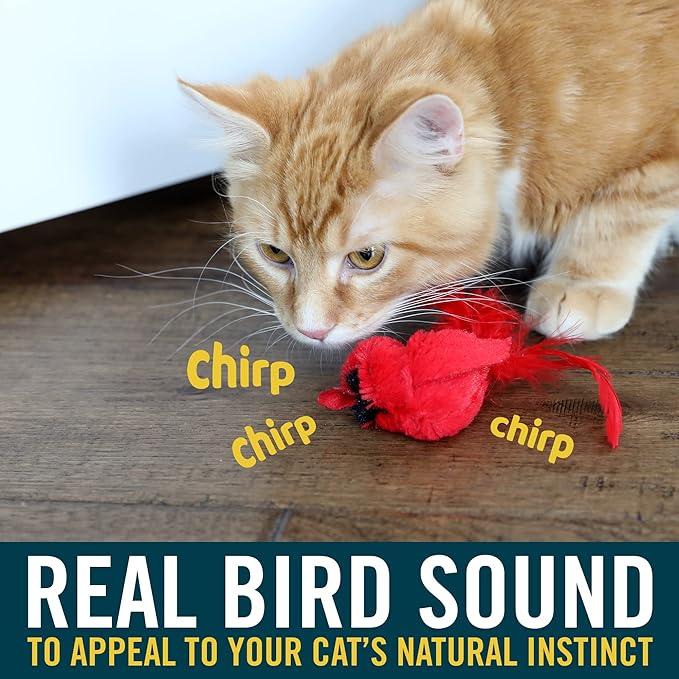 OurPets Play-N-Squeak Real Birds Interactive Cat Toys with Catnip (Cat Toys for Indoor Cats; Catnip Toy for Cats with Bird Chirping Electronic Sound and Feather)