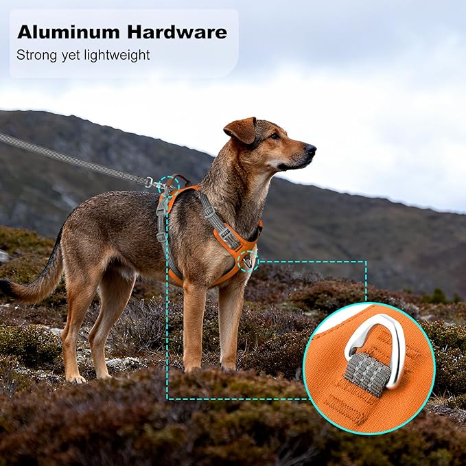 No Pull Dog Harness – Adjustable Reflective Nylon Vest for Small Medium Large Dogs, Escape Proof Training Harness with Leather Control Handle, Lightweight Aluminum Hardware (Orange, L)