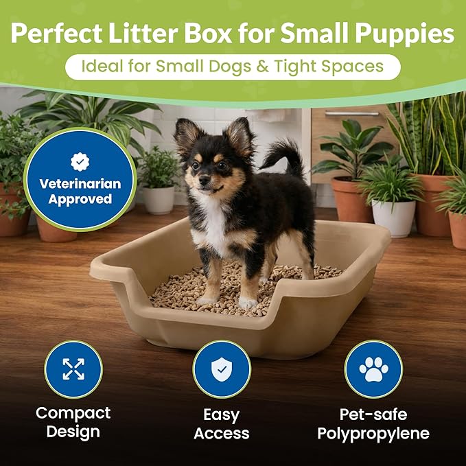 Dog Litter Box, Beach Sand Color, Small Size, Durable & Pet Safe Puppy Litter Box, Indoor Open Top Entry Dog Litter Pan, Comfortable for Dogs, Great for Small Dogs up to 6 lbs