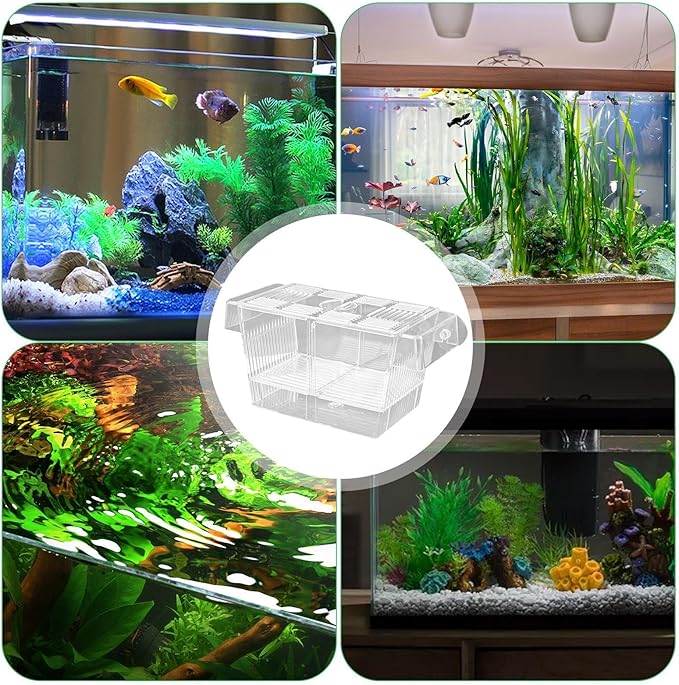 1/2 Fish Breeding Box - Aquarium Breeder Box, Fish Acclimation Box with 2 Suction Cups | Easily Install Fish Isolation Box, Acrylic Aquarium Hatchery Incubator for Baby Fishes Shrimp Betta Guppy