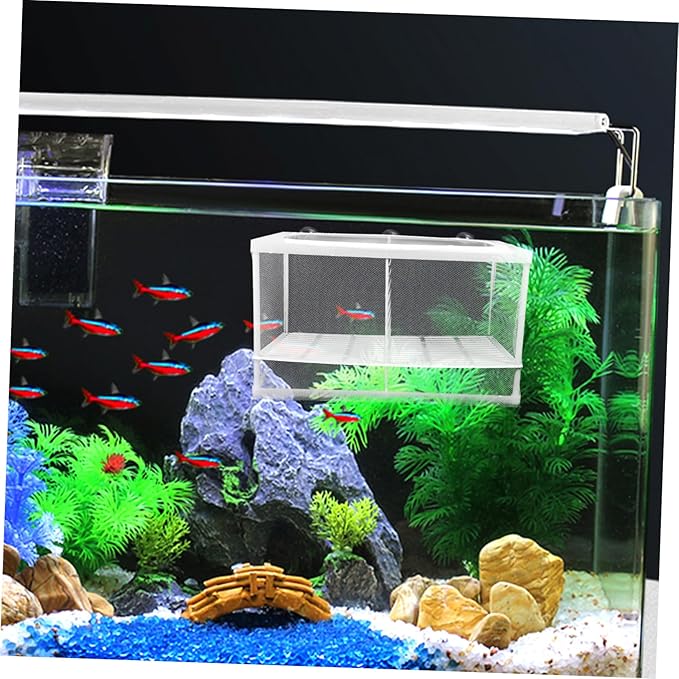 Kisangel Fish Tank Breeding Box Mesh Partition Shrimp Fish Hatchery for Aquarium Style