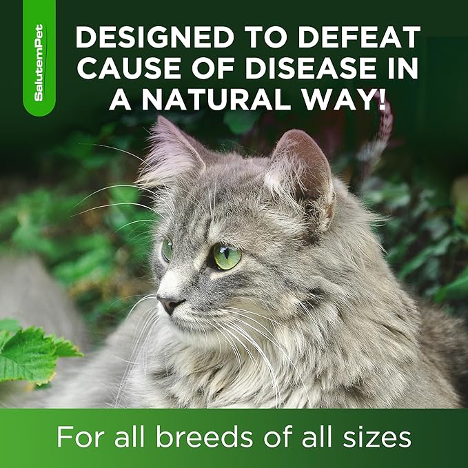 Cat Antibiotic for Infections, UTIs, Respiratory Moments, Cold, & Allergies | Antibiotics for Cats of All Ages & Breeds | Liquid Form | Natural Supplement with Chicken Flavor | 2 Oz