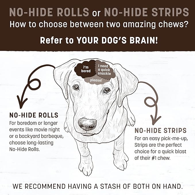 Earth Animal No Hide Chews - Long Lasting Rawhide Free Medium Dog Chews Rolls, Salmon - 3 Count Value Pack