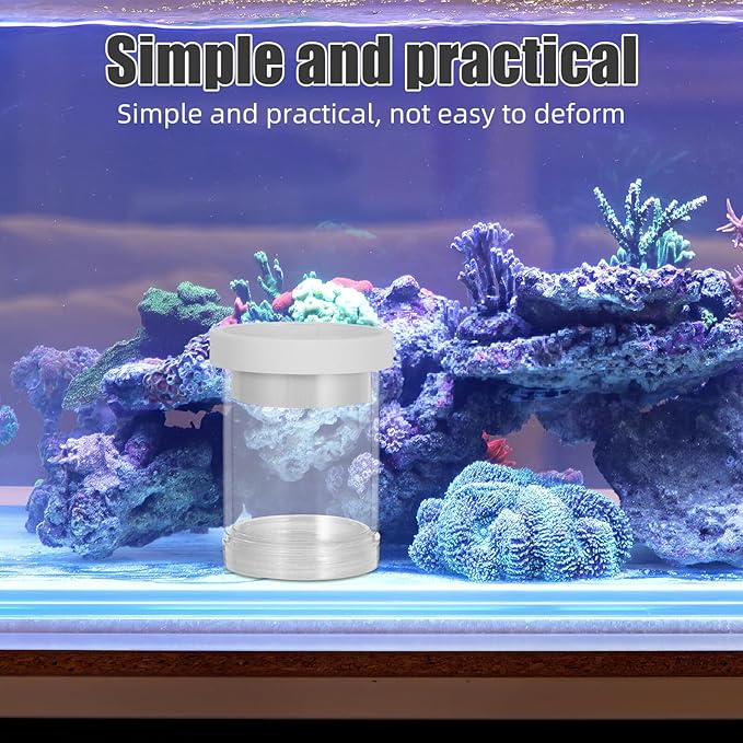 BESPORTBLE Fish Breeding Box Floating Incubation Chamber White Small Aquarium Isolation Box for Guppy Egg Hatching and Fry Breeding