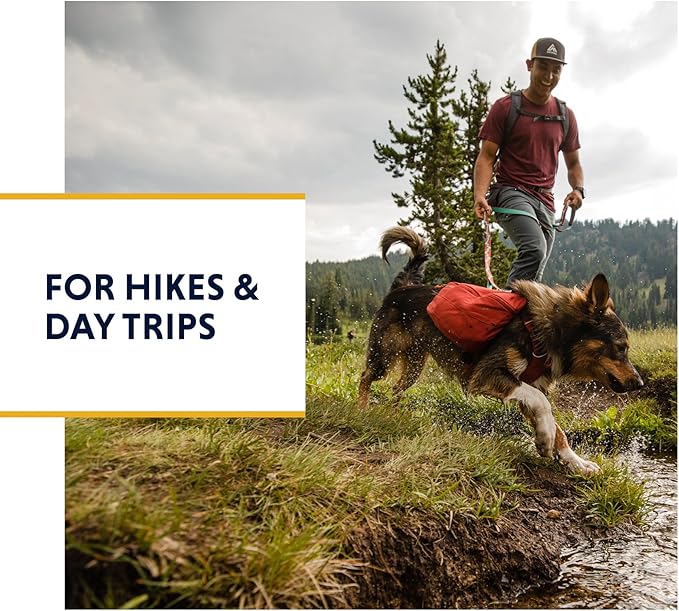 Ruffwear, Front Range Day Pack, Dog Backpack with Saddlebags, 5-Point Adjustment, 3 Leash Points, Padded Handle, Internal Mesh Pockets, Reflective Trim, Light Loop, River Rock Green, Small