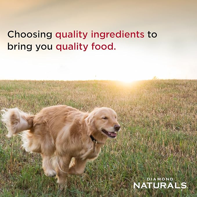 Diamond Naturals Adult Dry Dog Food Lamb Meal and Rice Formula Made with Quality Lamb Protein, Probiotics and Essential Nutrients to Support Balanced and Overall Health 40Lb