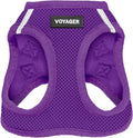 Best Pet Supplies Voyager Step-in Air Harness - All Weather Mesh, Reflective, No Pull Harness for Dogs, Cats - Secure with Hook & Loop Fastener, Buckle, Double D-Rings - Purple, L