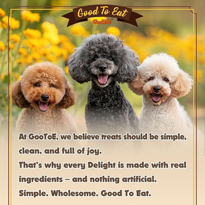 Gootoe Turkey Tendons for Dogs –All-Natural, Hypoallergenic Dog Treats, Rawhide Alternative, Long Lasting Puppy Chews, Healthy Dog Treats for Medium Breeds, Braid (M), 16 oz Pack (1 lb)