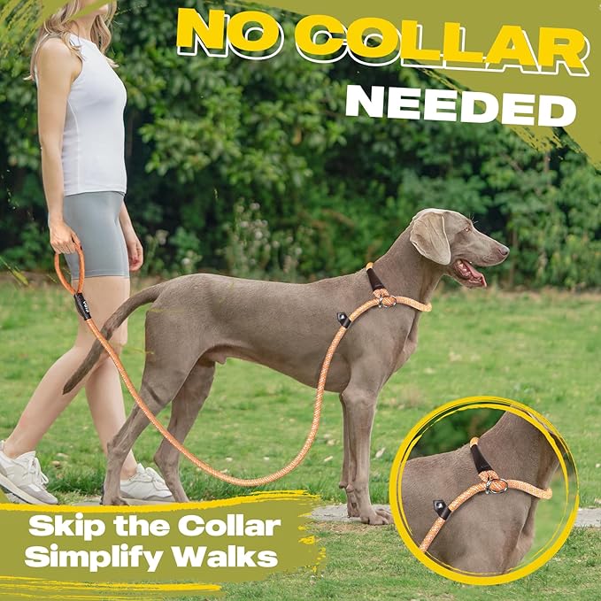 Fida Durable Slip Lead Dog Leash Bulk Pack of 5, Heavy Duty 1/2" x 6 FT Comfortable Strong Rope Slip Lead for Large, Medium Dogs No Pulling Pet Training Leash with Highly Reflective (Orange)