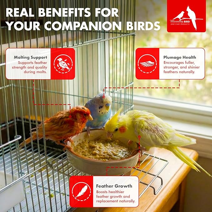 Morning Bird Feather Fast 4.5 Oz – Daily Multi-Vitamin for Growth & Molting Support – Promotes Healthy Feather Strength & Full Plumage – Supplement for All Adult Birds