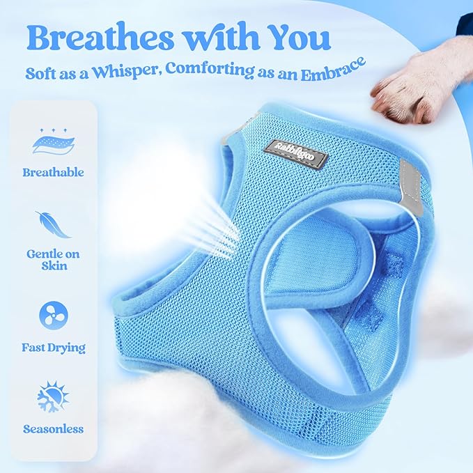 rabbitgoo Dog Harness Small Sized and Leash Set, Step in Soft Light Puppy Vest, Breathable Mesh Pet Harness, Reflective for Safe Easy Walking, Blue XXS