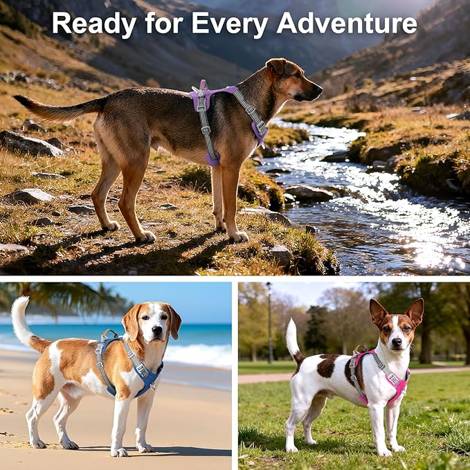 No Pull Dog Harness – Adjustable Reflective Nylon Vest for Small Medium Large Dogs, Escape Proof Training Harness with Leather Control Handle, Lightweight Aluminum Hardware (Royal Blue, M)