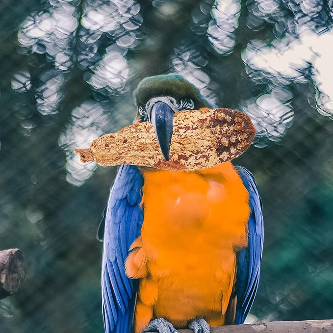 4pcs Natural Bird Chewing for Parakeets Cockatiels Small Birds Safe Biting Fun Pet Shredding Accessories to Prevent Furniture Damage and Encourage Healthy Beak Activity