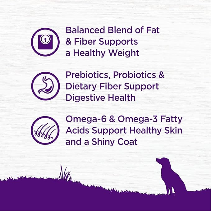 Wellness Complete Health Healthy Weight Adult Dry Dog Food, Wholesome Grain Kibble, Chicken and Peas Recipe, 5 lb Bag