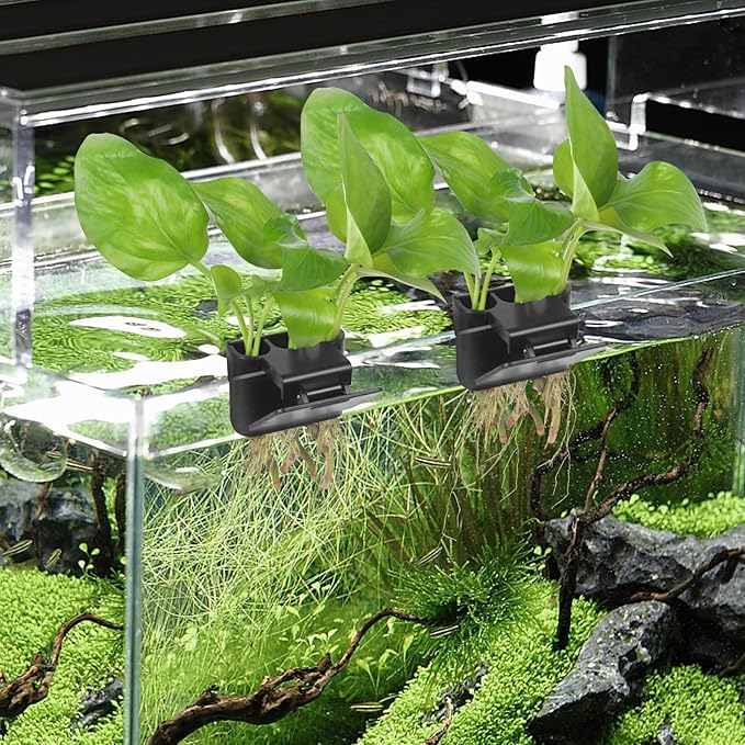 3 Holes Upgraded Aquatic Plant Cup Aquarium Plant Holder for Tank,Aquascape Accessories Decorations- Black 2 Pcs