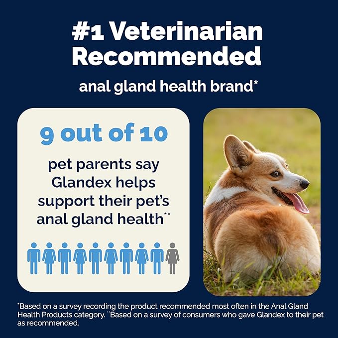 Vetnique Glandex Daily Probiotics for Dogs with Prebiotics to Support Gut Health with Fiber and Digestive Enzymes, Dog Probiotic Chews or Powders (60ct Chews, Bacon Chews)