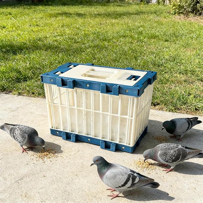 Pigeon Cage, Pigeon Travel Carrier, 32x15x22.5cm, Breathable Bird Cage with Lock, Professional Racing Crate, Training Transport Box, for Parakeet Release Competition Outdoor