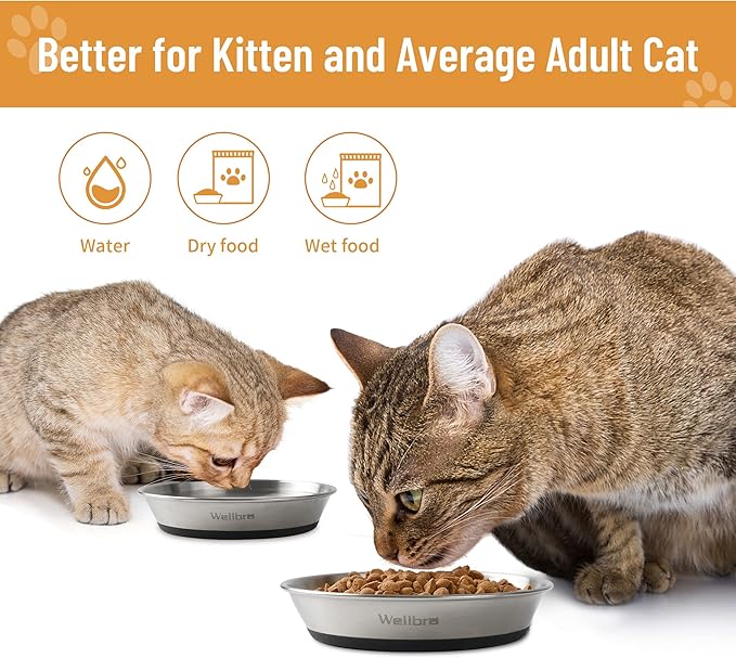 Cat Bowls, 6 Pcs Stainless Steel Bowls for Food and Water, Whisker Fatigue Shallow Non-Slip Cat Dishes Plates for Small Dog Puppies Cats