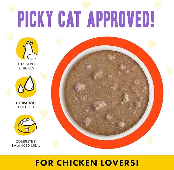 Weruva B.F.F. OMG - Best Feline Friend Oh My Gravy!, Chicken & Salmon Stir It Up with Chicken & Salmon in Gravy, 5.5oz Can (Pack of 8)
