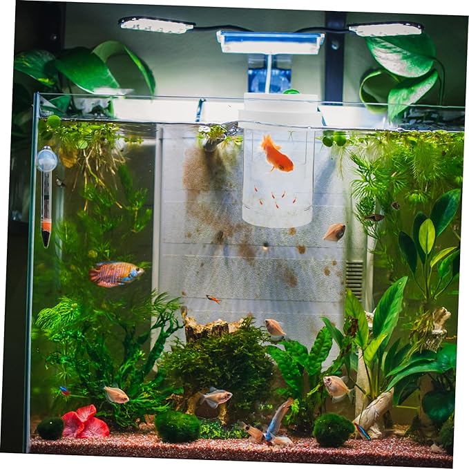 1 Set Fish Breeder Box: Fish Tank Breeding Isolation Box Plastic - Floating Hatchery Incubator for Guppy Betta Shrimps - Aquarium Divider