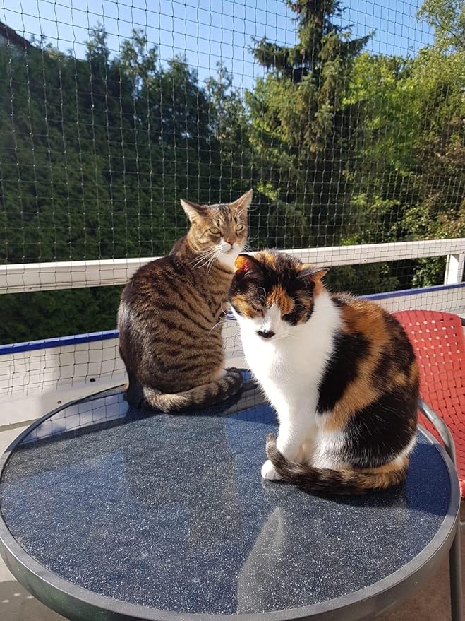 Cat Netting Balcony 10 * 20ft Pet Mesh Fence for Balcony Black Nylon Balcony Netting for Pets Anti-Fall Cat Net for Balcony and Windows