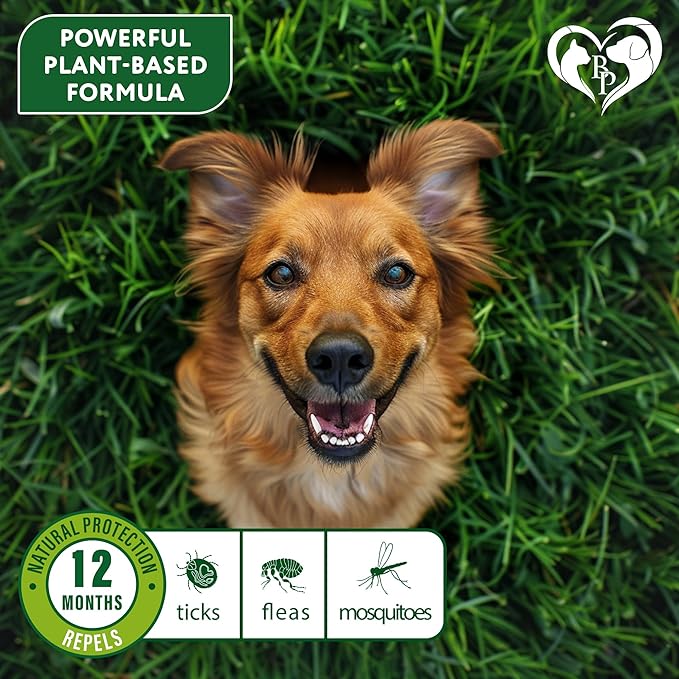 Natural Flea & Tick Repellent Collar for Dogs – Plant-Based, Waterproof, 6-Month Pest Protection – Adjustable, Safe (1 Pack, 2 Count)