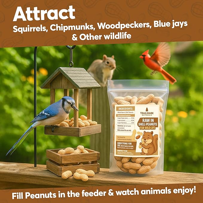 1 LB - Raw Peanuts For Squirrels, Raw In Shell Peanuts For Birds and Wildlife- Squirrel Food, Wild Bird Seed - Grown in The USA