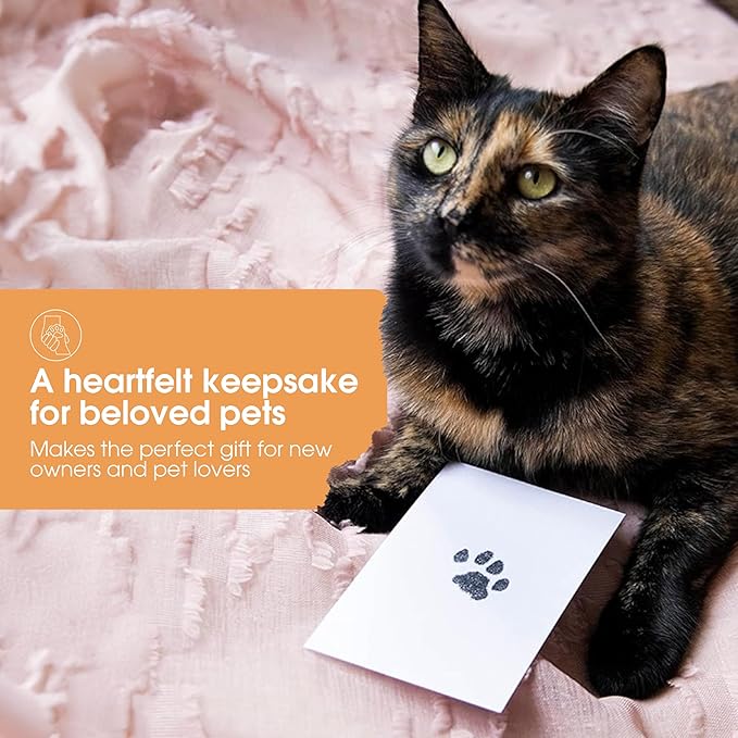 Pearhead Paw Print Clean Touch Ink Pad Kit for Dogs and Cats,Pet Owner Keepsake,DIY Inkless Paw and Nose Print Impression Set,Small/Medium,(Pack of 2)