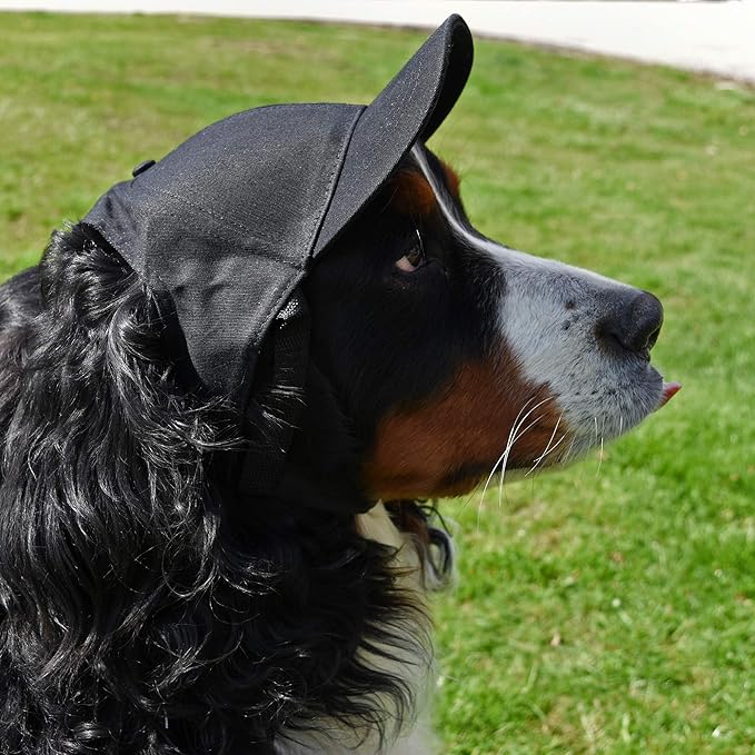 Littlearth NFL Pet Baseball Hat - Officially Licensed Teams, Sizes: XS - XL