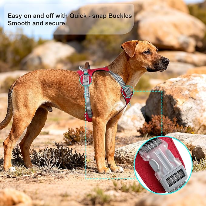 No Pull Dog Harness – Adjustable Reflective Nylon Vest for Small Medium Large Dogs, Escape Proof Training Harness with Leather Control Handle, Lightweight Aluminum Hardware (Red, M)