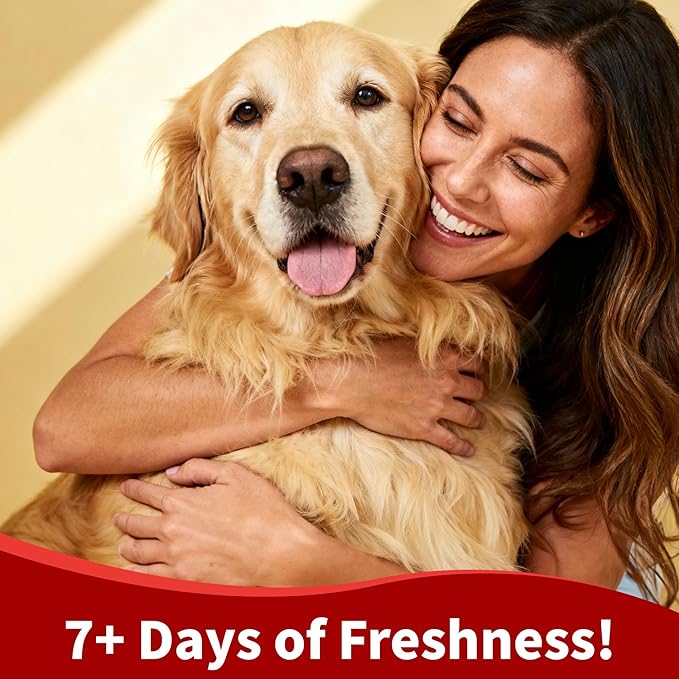 Arf Arf Odor Control Dog Shampoo - Advanced Deodorizing Formula for Smelly Dogs with Soothing Hydrolyzed Oat Protein for Dry, Itchy Skin Relief - Long Lasting Fresh Scent - Pro Grooming Results - 16oz