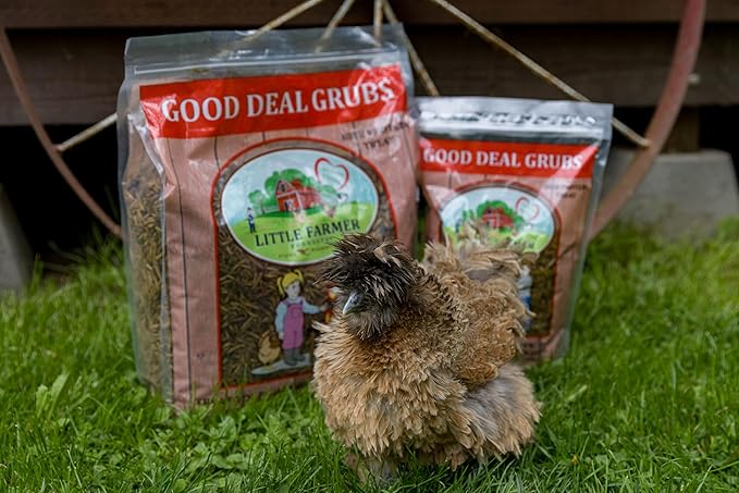Good Deal Grubs Dried Black Soldier Fly Larvae Treat (5lb) for Chickens, Poultry, Birds, Small Pets - Protein and Calcium Supplement
