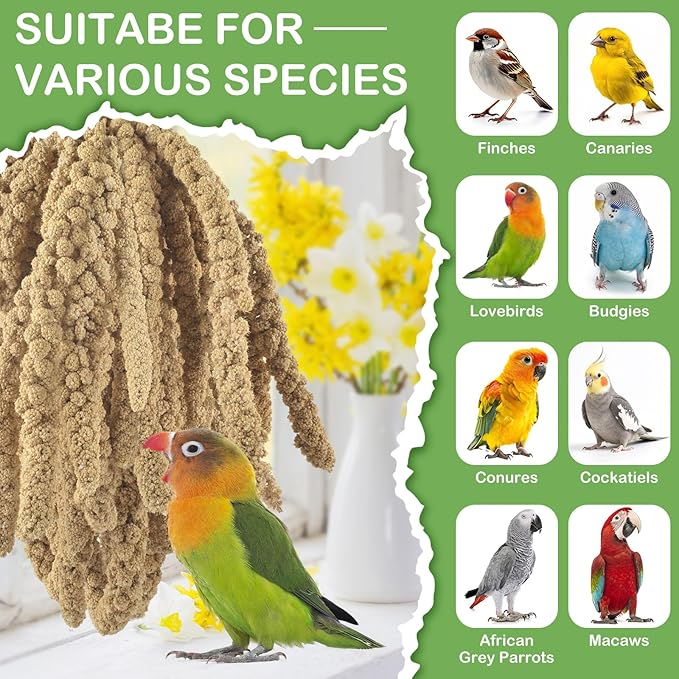 ERKOON 5LB Spray Millet Treat, All Natural Sun-Dried Healthy Treat Parrot Food Bird Snack for Parakeets, Lovebirds, Cockatiels, Finches, Budgies, Canaries Hamster, Bird Food Bulk