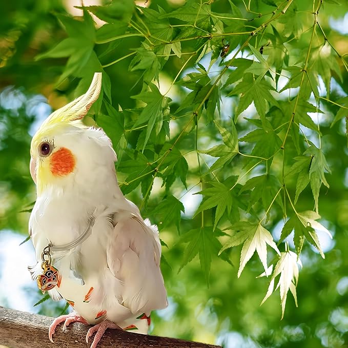 2 Pcs Bird Diapers Bird Harness Flight Suits Diapers with 80in Flying Leash Reusable Parrot Nappy with Waterproof Inner Layer for Cockatiel Budgie Conure Parakeet Lovebird-Watermelon&Orange
