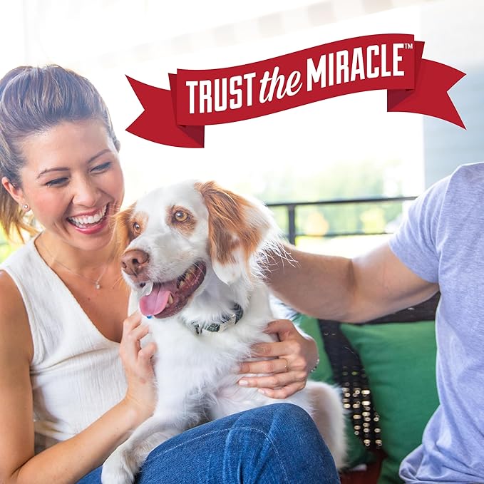 Nature’s Miracle Set-In Stain Destroyer For Dog Messes, 24 Ounces, Oxy Formula With Orange Scent