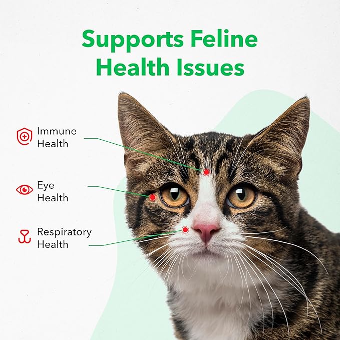 Vetoquinol Viralys Daily L-Lysine Gel for Cats and Kittens, Maple Flavored Lysine Supplement for Cats and Kittens to Support Immune Health, Normal Eye Function and Respiratory Health, 5oz