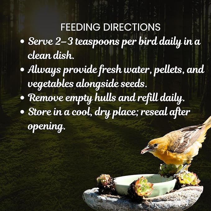 Danodia's Zoolulu Premium Conure Energy Millet Mix (950g/2 lbs) | Premium Bird Food Blend for Conures, Quakers, Cockatiels & Lovebirds | Daily Feeding Blend