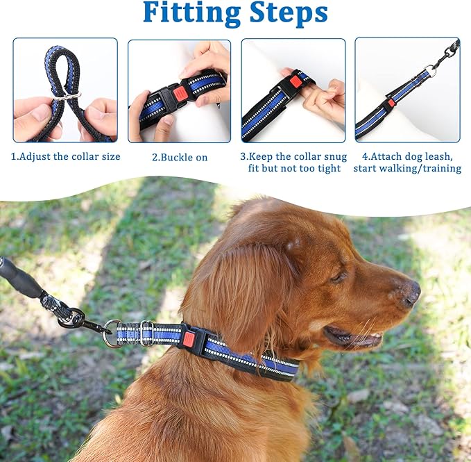 Mayerzon Martingale Collar for Dogs, No Pull Dog Collar with Reflective Strip for Small Medium Large Dogs, Anti Pulling Dog Collar with Buckle for Walking Training, Safe for Night Walk(Blue, M)
