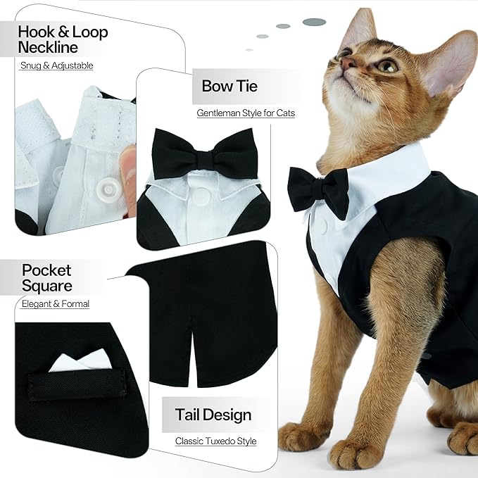 PUMYPOREITY Cat Tuxedo Suit Formal Wear with Bow Tie, Soft Skin-Friendly Cat Costumes for Cats Only, Elegant Outfit for Male Female Cats, Perfect for Wedding Birthday Photo Shoots, L, Black