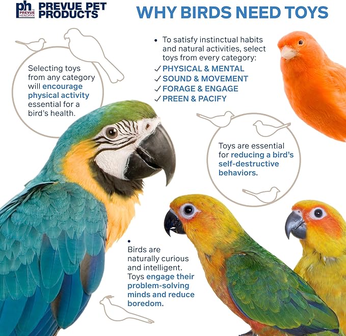 Prevue Pet Products 3-Box Stuff & Hide - Playfuls Forage & Engage Bird Toy 60246