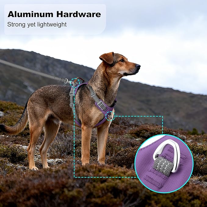 No Pull Dog Harness – Adjustable Reflective Nylon Vest for Small Medium Large Dogs, Escape Proof Training Harness with Leather Control Handle, Lightweight Aluminum Hardware (Purple, S)