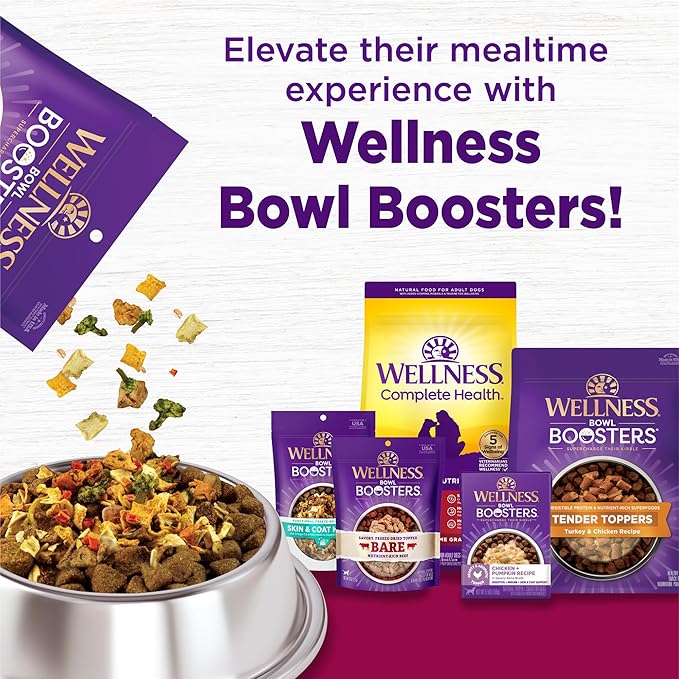 Wellness Complete Health Dry Dog Food, Small Breed, Wholesome Grains, Natural, Healthy Weight Turkey & Brown Rice Recipe, (4-Pound Bag)