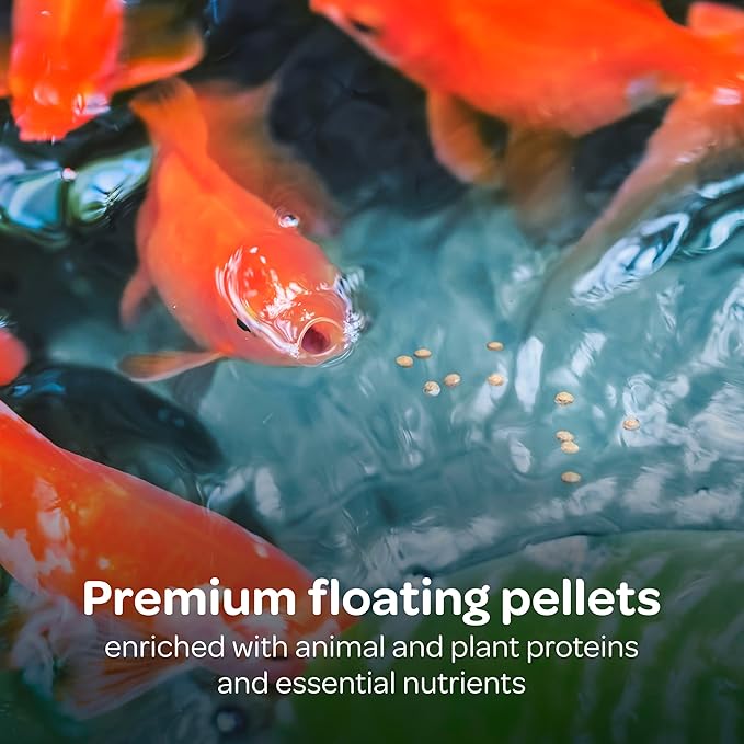 Kaytee Koi’s Choice Koi Floating Fish Food, For Koi, Goldfish and Pond Fish, 10 pounds