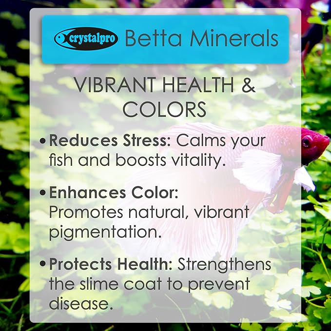Betta Minerals for Betta Fish Health - Reduces Stress - Boosts Protective Coat - Aquarium Mineralizer (16.9 Oz (500ml)